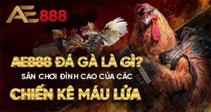 Vài điểm nhận diện về đá gà AE888 là gì?